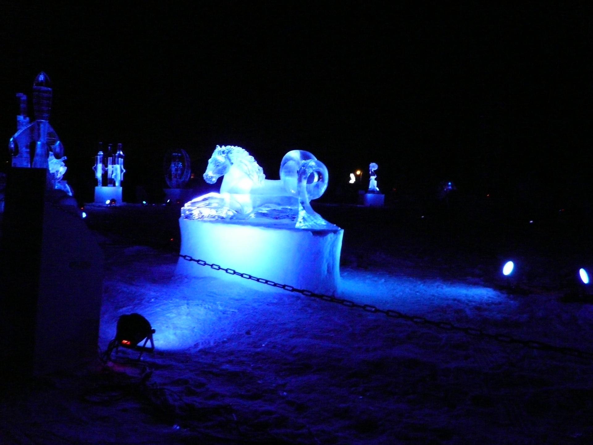 Concours international de sculpture sur glace a valloire 2013 40